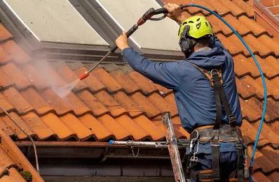Démoussage et hydrofuge de toiture à Lussac-les-Églises